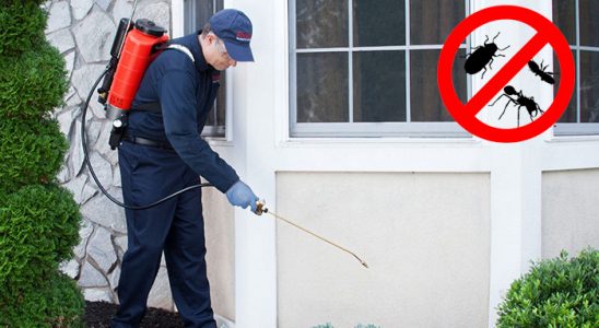Kadışehri Akrep İlaçlama böcek ilaçlama ve haşere kontrolü — ilaclama-tr.com